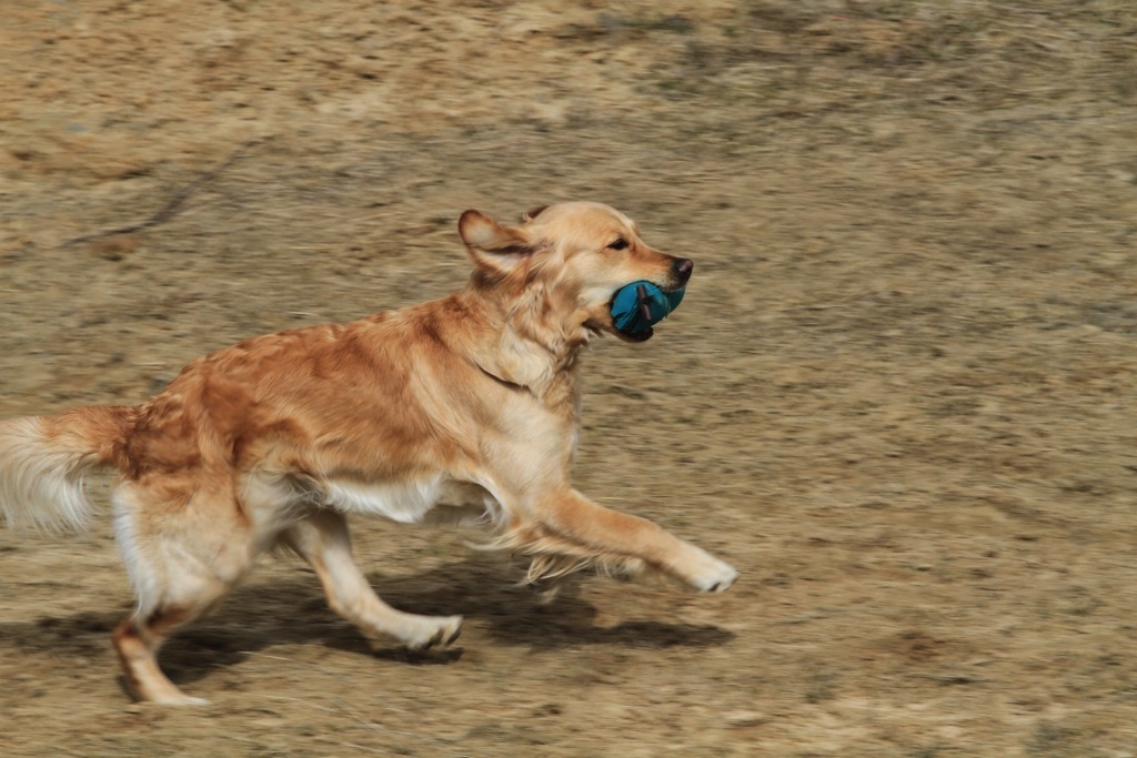 drc_schnupper_workingtest_april_2013-112