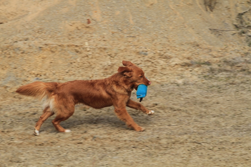 drc_schnupper_workingtest_april_2013-117
