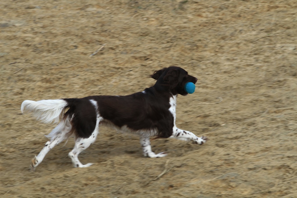 drc_schnupper_workingtest_april_2013-121