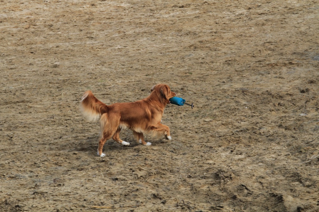 drc_schnupper_workingtest_april_2013-126