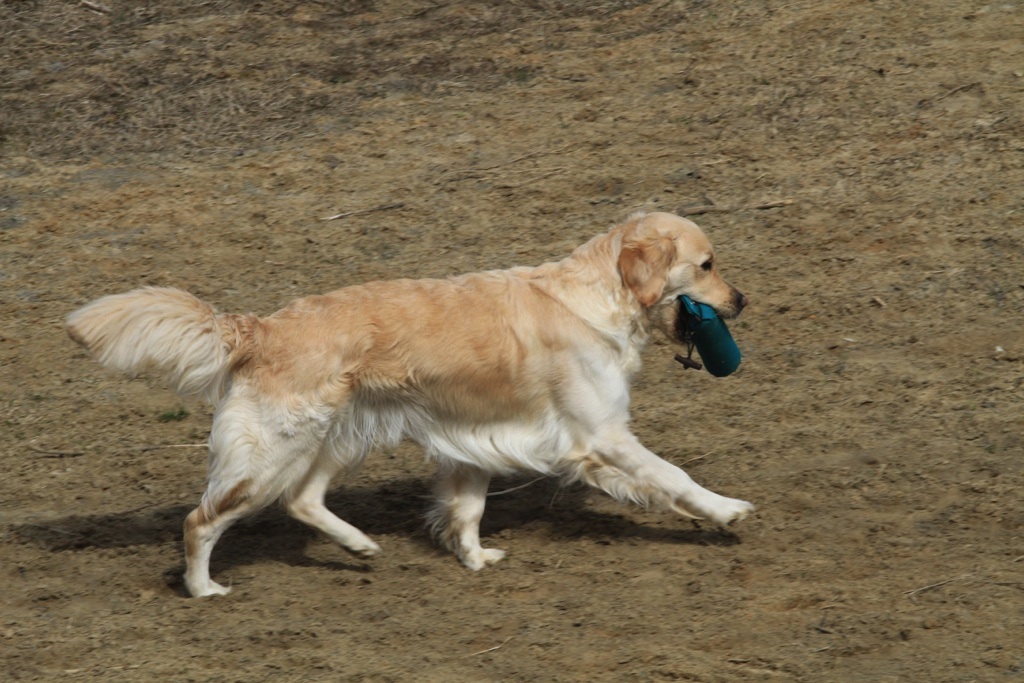 drc_schnupper_workingtest_april_2013-134