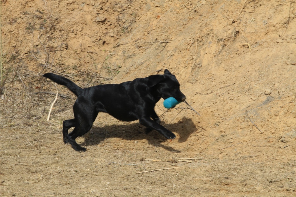 drc_schnupper_workingtest_april_2013-138