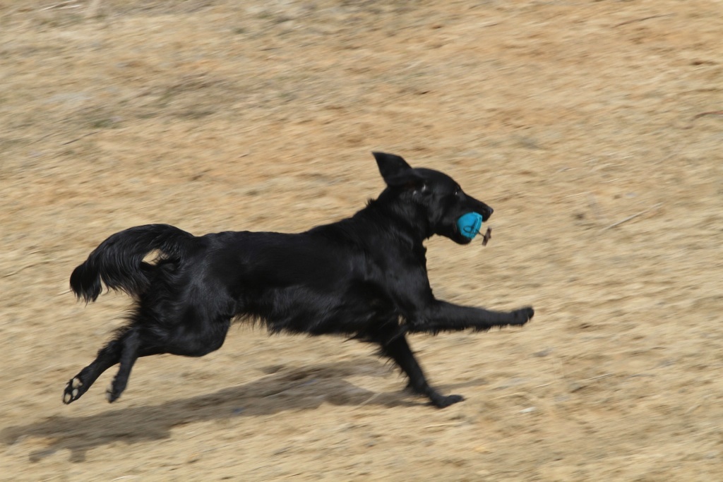drc_schnupper_workingtest_april_2013-141