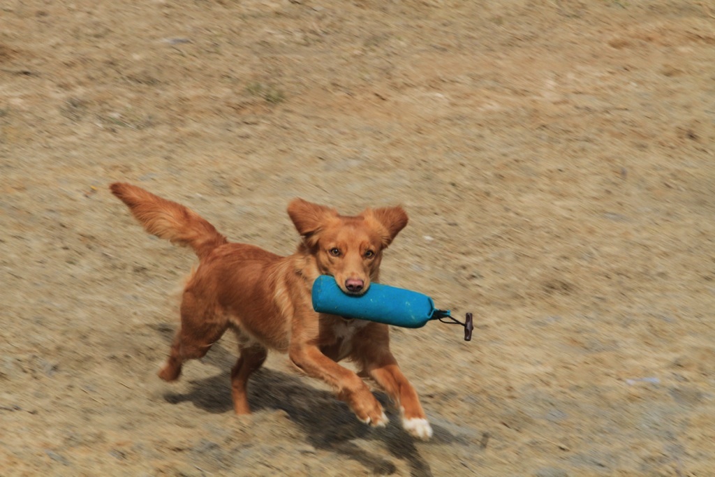 drc_schnupper_workingtest_april_2013-143