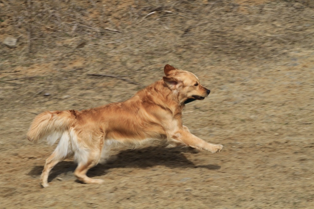drc_schnupper_workingtest_april_2013-145