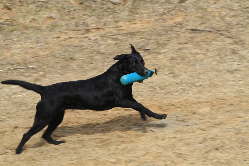 drc_schnupper_workingtest_april_2013-148