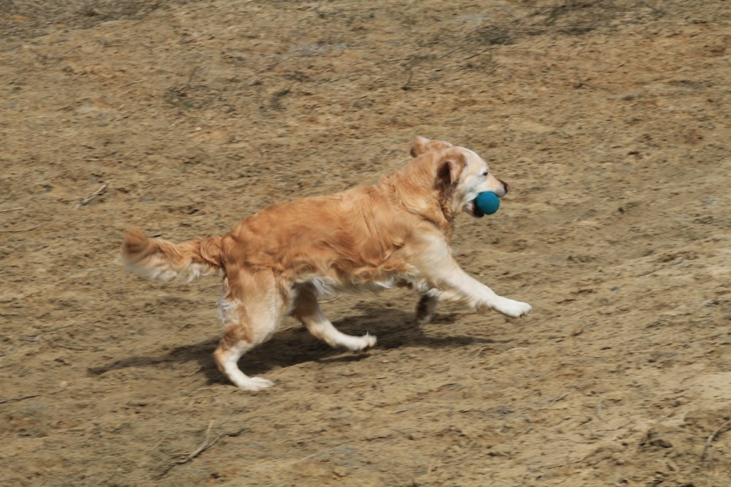 drc_schnupper_workingtest_april_2013-150