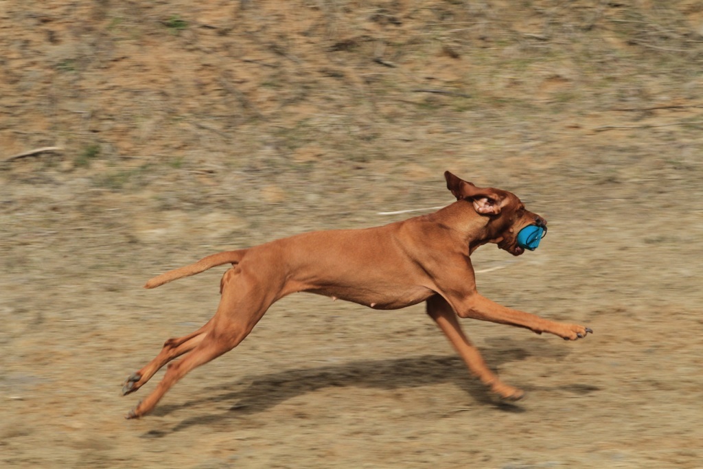 drc_schnupper_workingtest_april_2013-152