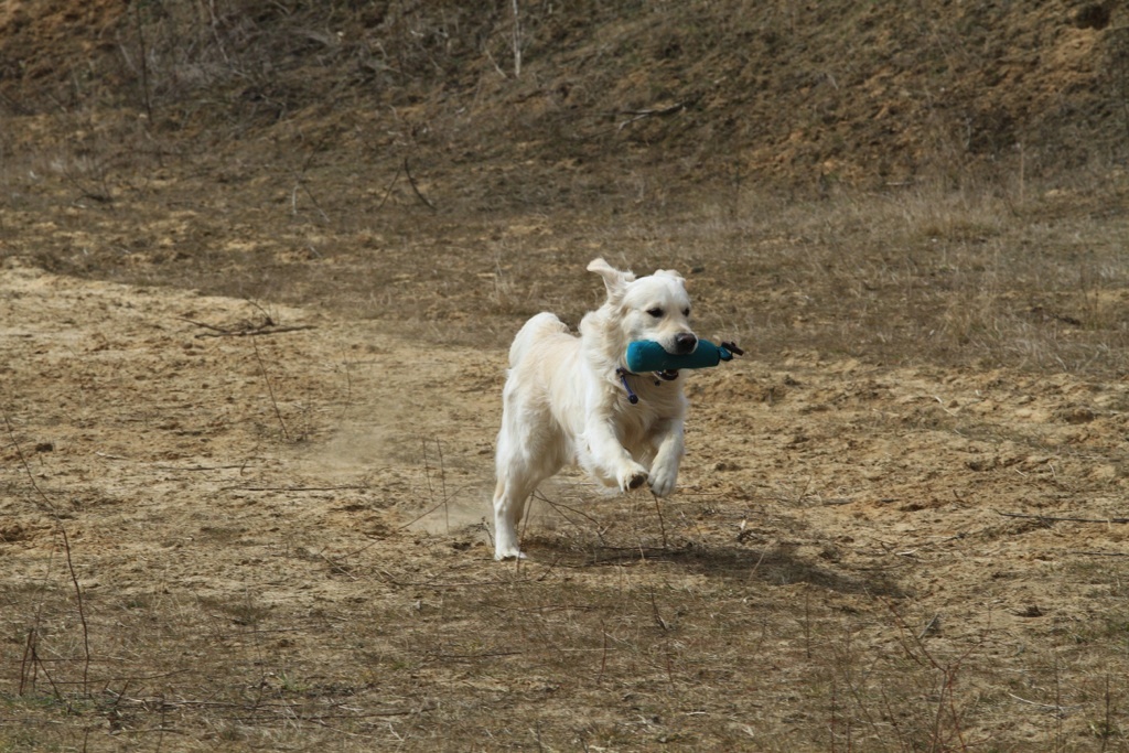 drc_schnupper_workingtest_april_2013-159