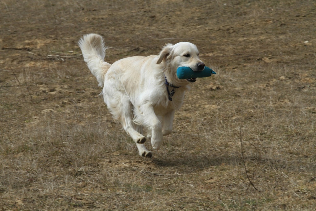 drc_schnupper_workingtest_april_2013-160