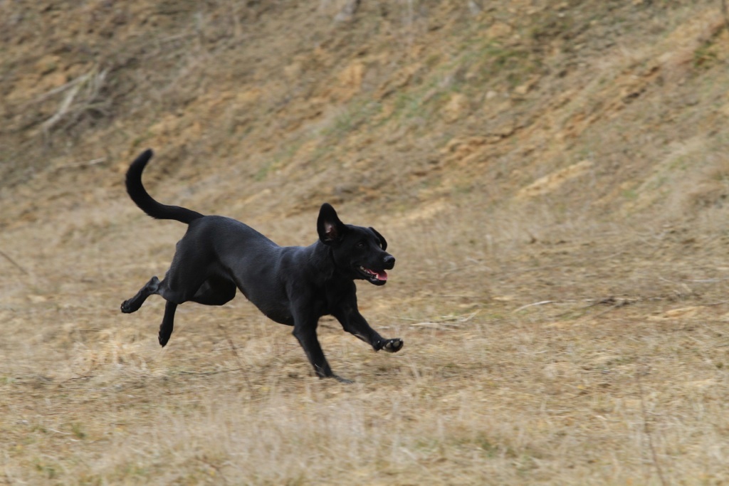 drc_schnupper_workingtest_april_2013-163