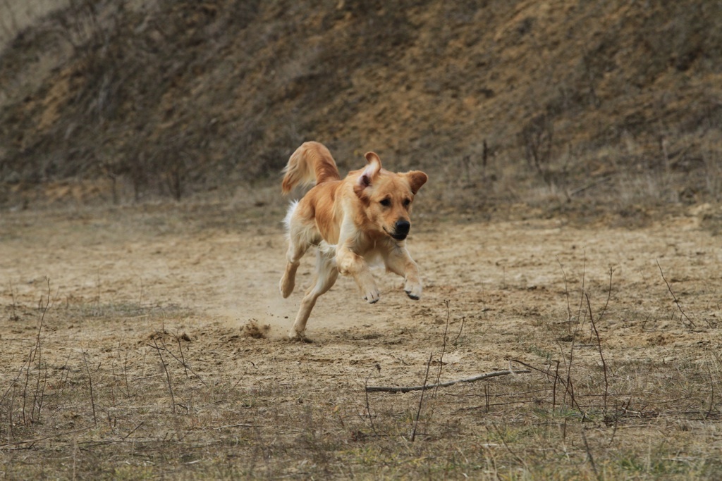 drc_schnupper_workingtest_april_2013-172