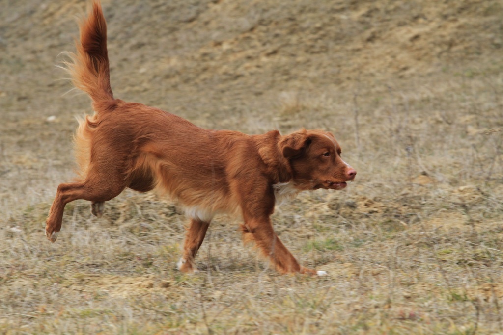 drc_schnupper_workingtest_april_2013-176