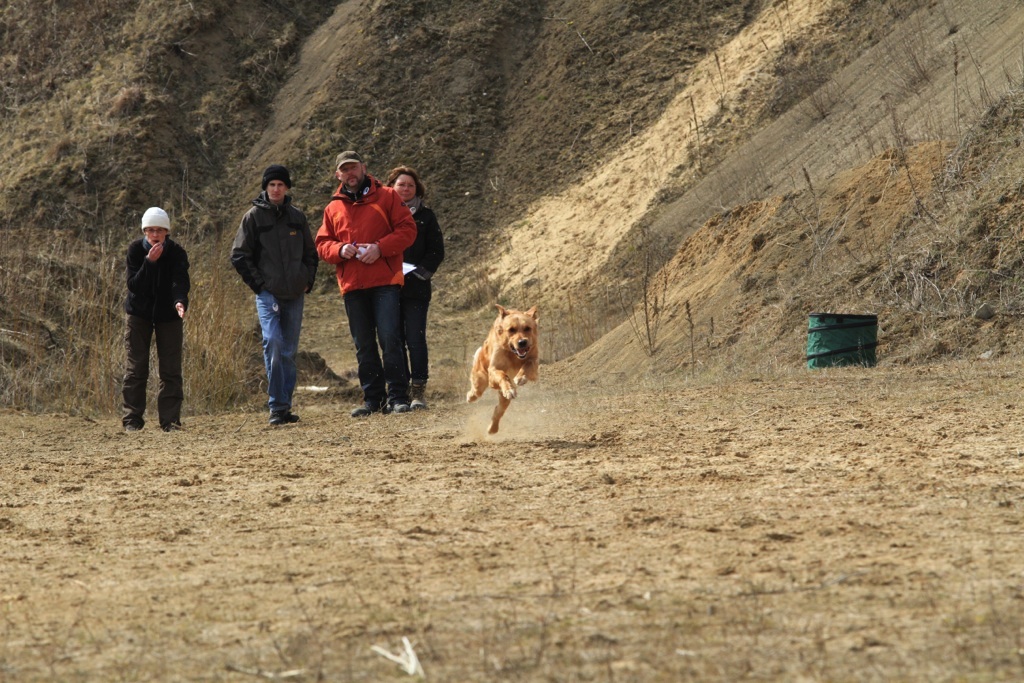 drc_schnupper_workingtest_april_2013-203