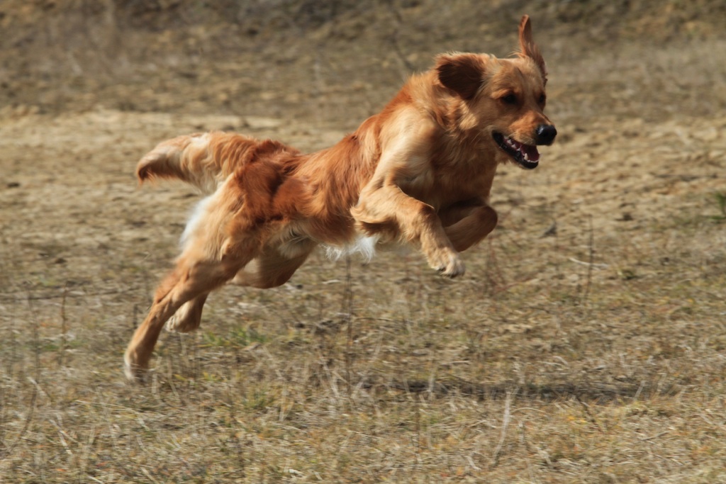 drc_schnupper_workingtest_april_2013-204