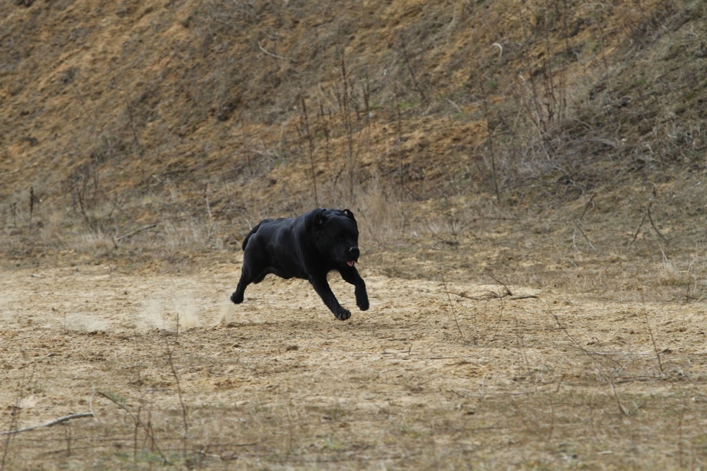 drc_schnupper_workingtest_april_2013-208