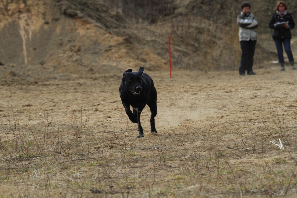 drc_schnupper_workingtest_april_2013-217