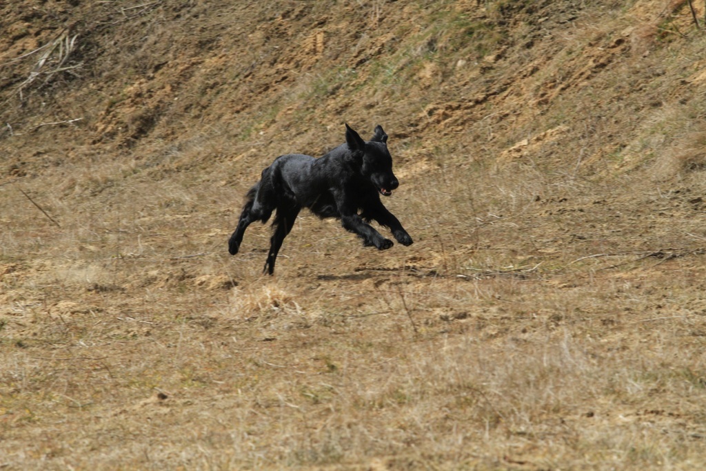 drc_schnupper_workingtest_april_2013-224