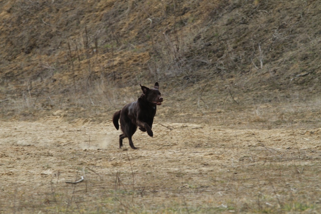 drc_schnupper_workingtest_april_2013-230