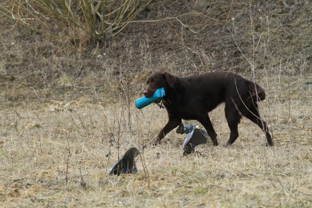 drc_schnupper_workingtest_april_2013-231