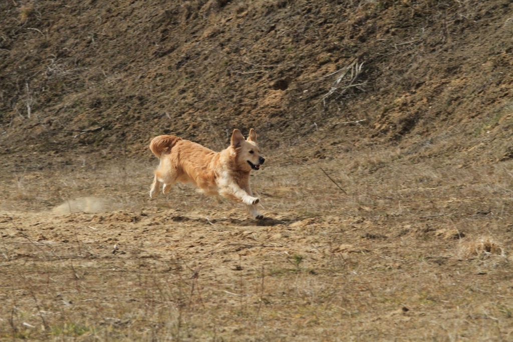 drc_schnupper_workingtest_april_2013-236