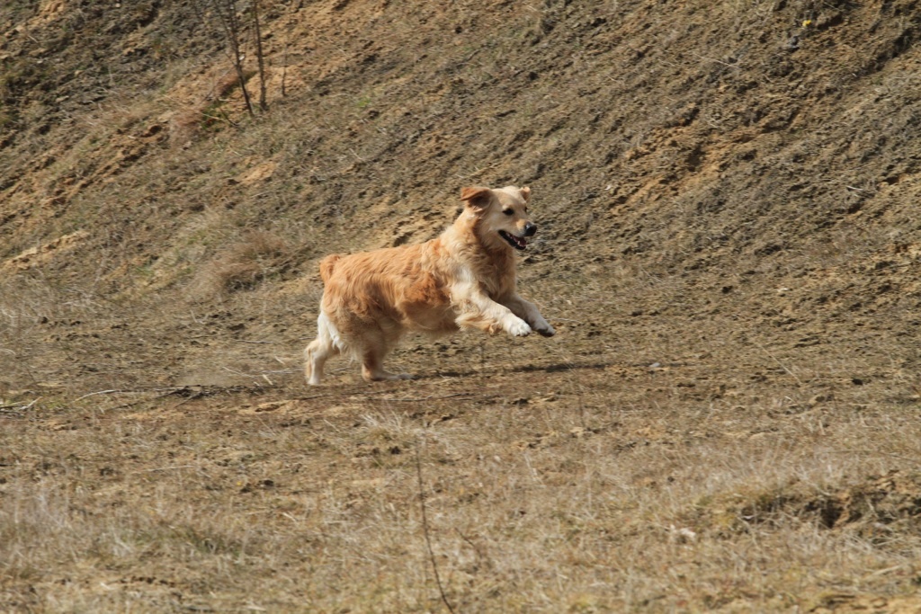 drc_schnupper_workingtest_april_2013-237