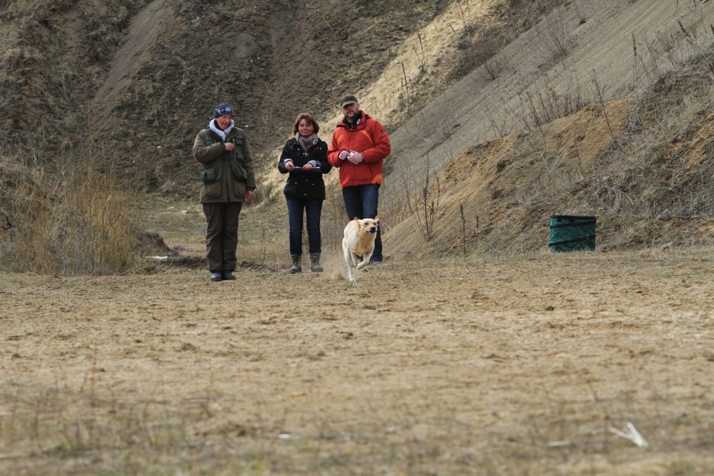 drc_schnupper_workingtest_april_2013-241