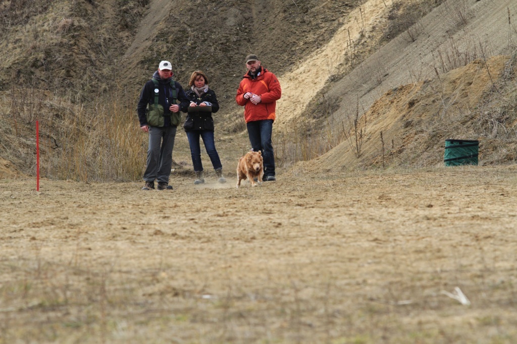 drc_schnupper_workingtest_april_2013-254