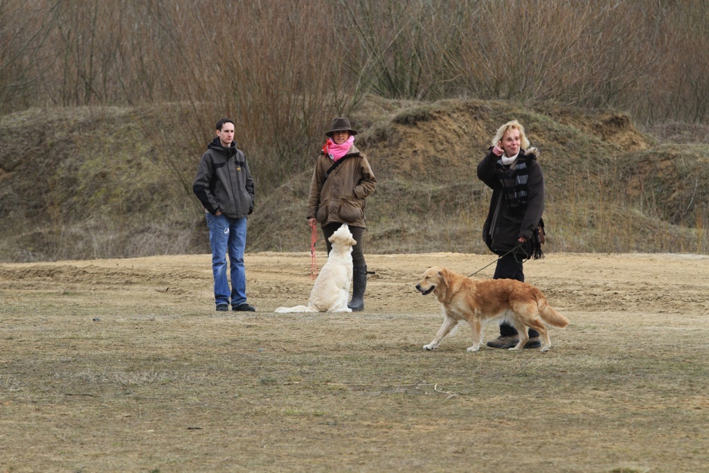 drc_schnupper_workingtest_april_2013-260