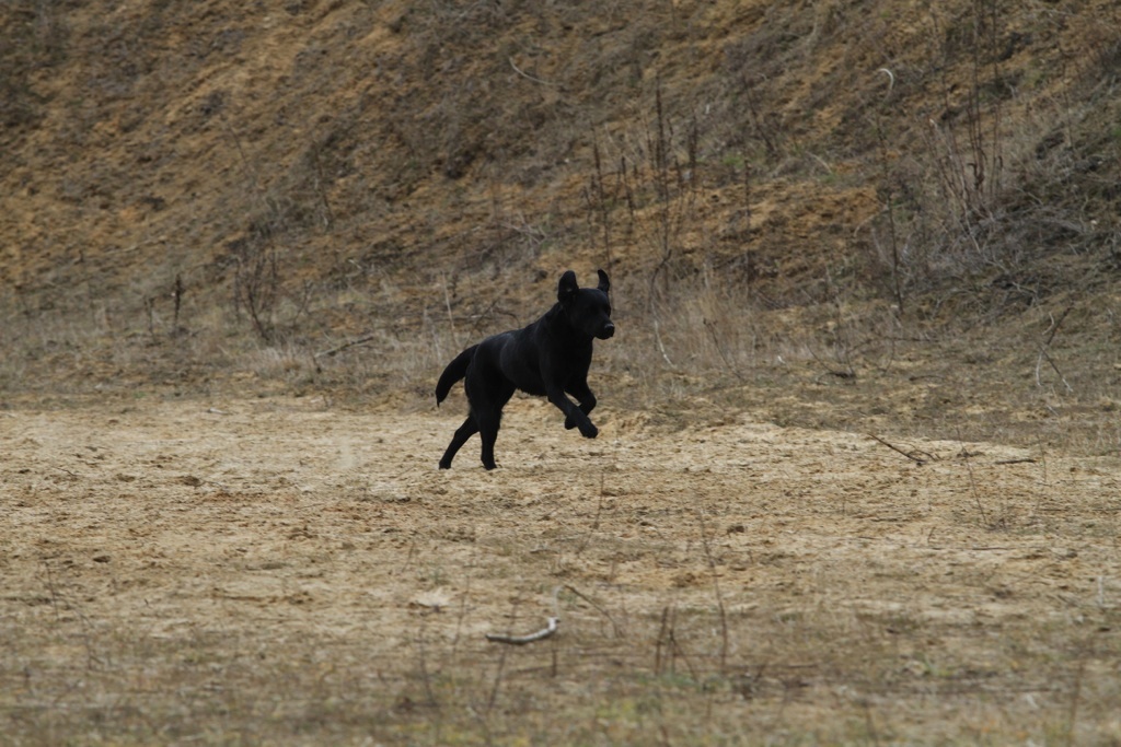 drc_schnupper_workingtest_april_2013-262