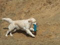 drc_schnupper_workingtest_april_2013-101