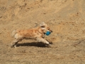 drc_schnupper_workingtest_april_2013-107