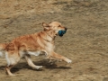 drc_schnupper_workingtest_april_2013-112