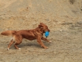 drc_schnupper_workingtest_april_2013-117