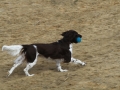 drc_schnupper_workingtest_april_2013-121