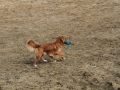 drc_schnupper_workingtest_april_2013-126