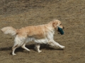 drc_schnupper_workingtest_april_2013-134