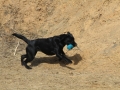 drc_schnupper_workingtest_april_2013-138