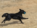 drc_schnupper_workingtest_april_2013-141