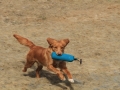 drc_schnupper_workingtest_april_2013-143