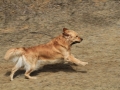 drc_schnupper_workingtest_april_2013-145