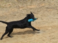 drc_schnupper_workingtest_april_2013-148