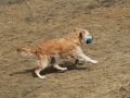 drc_schnupper_workingtest_april_2013-150