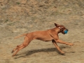 drc_schnupper_workingtest_april_2013-152