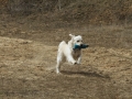 drc_schnupper_workingtest_april_2013-159
