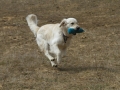 drc_schnupper_workingtest_april_2013-160