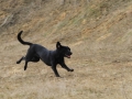 drc_schnupper_workingtest_april_2013-163