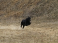 drc_schnupper_workingtest_april_2013-165