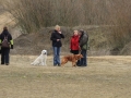 drc_schnupper_workingtest_april_2013-167