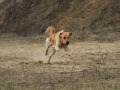 drc_schnupper_workingtest_april_2013-172